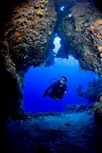 Cape Eleuthera Underwater - Courtesy of The Bahamas Film Commission