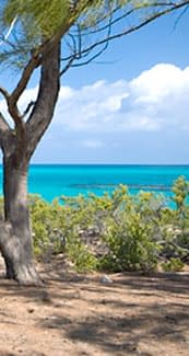 Middle Caicos Island - Courtesy of The Tourism Website Of The Turks & Caicos Islands